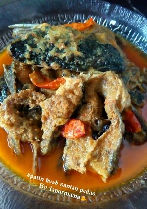 Foto resep Patin kuah santan pedas
