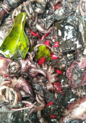 Foto resep Tumis Cumi Hitam