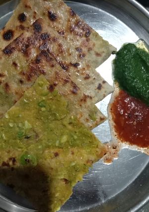 લીલવા ના પરોઠા (Lilva Paratha Recipe In Gujarati) રેસીપી મુખ્ય ફોટો