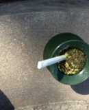 Mate con té Rojo y Stevia