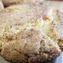 A picture of Snickerdoodles.