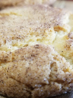 A picture of Snickerdoodles.