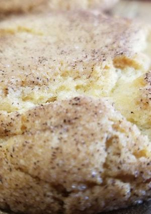 A picture of Snickerdoodles.
