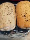 Chapata chica sin gluten en Amasadora o en el horno tú eliges