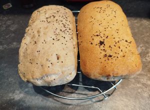 Una foto de Chapata chica sin gluten en Amasadora o en el horno tú eliges