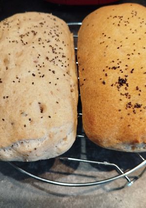 Foto principal de Chapata chica sin gluten en Amasadora o en el horno tú eliges