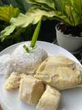 Katan Durian/Silamak Durian (Nasi Lamak Padang)