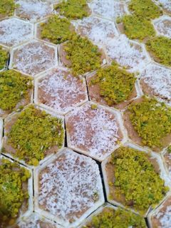 عکسی از دستور حلوای زنجبیلی