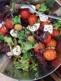 Ŝalada de Verão / Summer Salad 🥗
