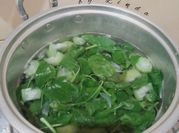 Gambar sayur bayam gambas