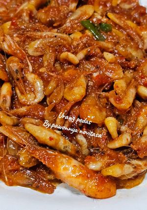 Foto resep Urang pedas / udang balado