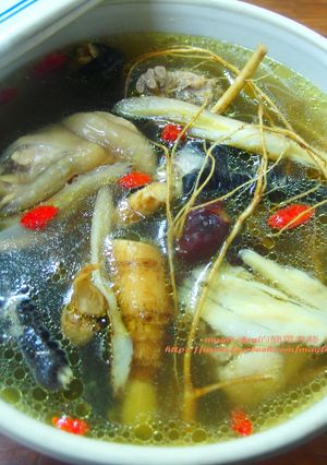 九尾草雞湯 的食譜成品照片
