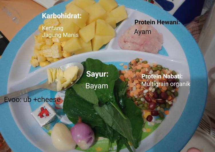 Resep MPasi6+7bulan yang Sempurna