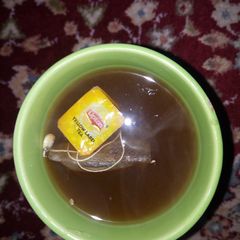 A picture of Lipton.