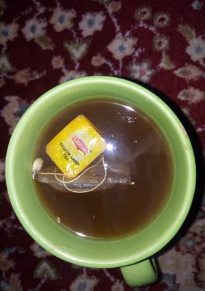 A picture of Lipton.