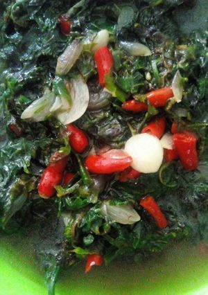 Foto resep Tumis Pakis bumbu terasi