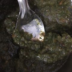 A picture of Green chutney.