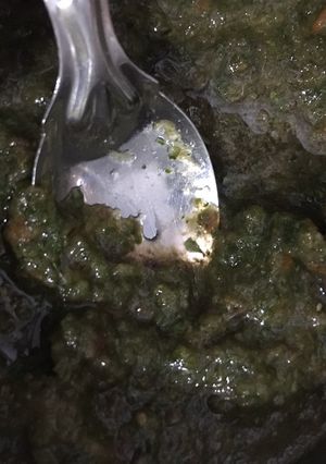 A picture of Green chutney.