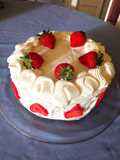 Fraisier japonais