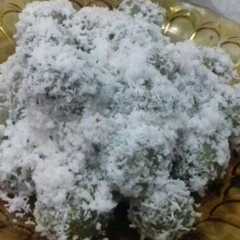 รูปของ Klepon mudah