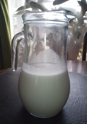 Una foto de Leche de coco casera