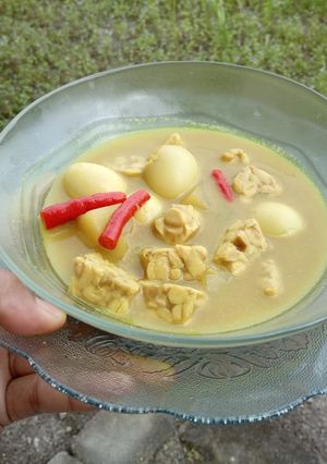 Foto resep Opor telur puyuh mix tempe sederhana