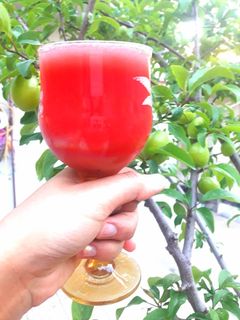 عکسی از دستور 🍉 اسموتی هندوانه 🍉