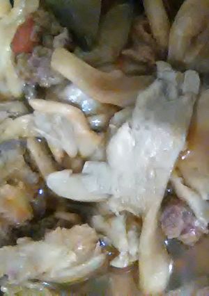 Foto resep #FestivalResepAsia#Indonesia#Daging Sapi #Daging Dan Jamur Kecap Segar