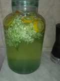 Limonadă de soc