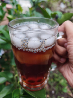 Foto resep Ice java tea