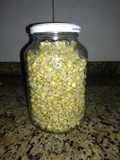 Brotes de lentejas