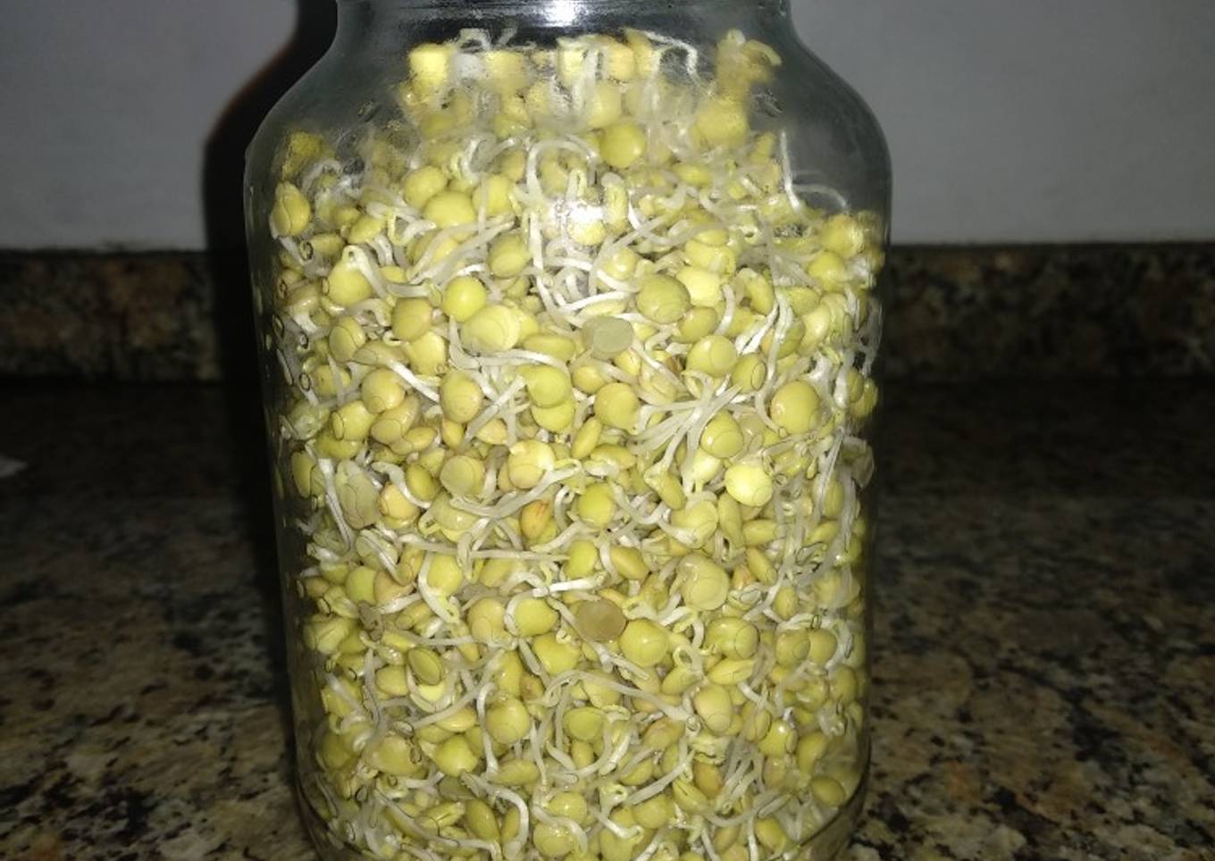 Brotes de lentejas