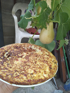 Una foto de Tortilla de papa del aire o chayote silvestre