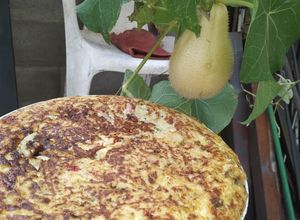 Una foto de Tortilla de papa del aire o chayote silvestre