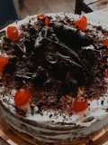 Selva negra
