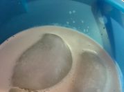 Una foto de agua de frutas con leche