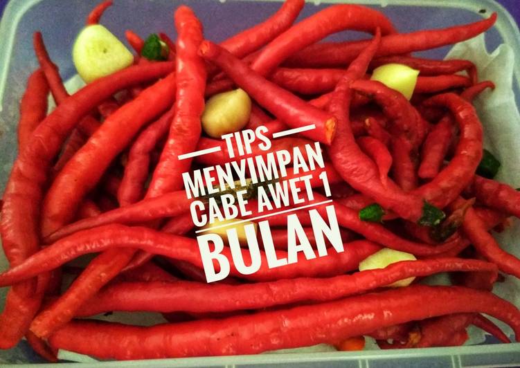 Cabe Awet Sampai 1 bulan