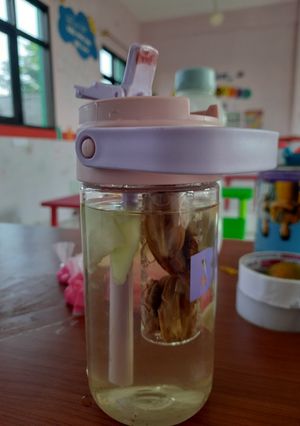 Foto resep Infused Water Kurma Jambu Kristal