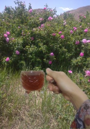 عکسی از دستور چای هل گلاب زعفران