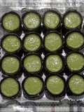 Kue muso khas jambi