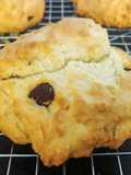 Chocolate Chip Scones