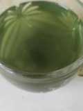 நித்திய கல்யாணி பூ டீ(herbal tea recipe in tamil)
