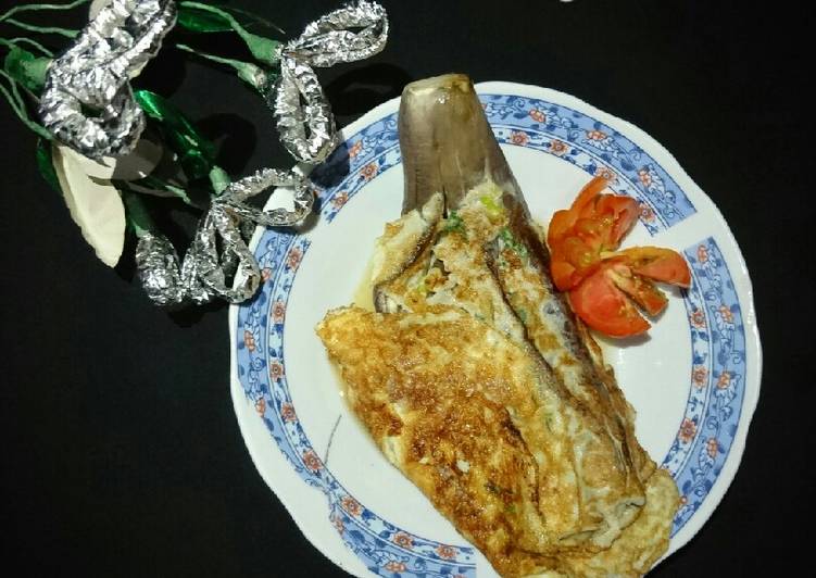 108. Dasar Terong Telur