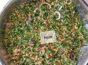 A picture of moringa couscous