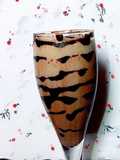 চকলেট মিল্ক শেক (chocolate milkshake recipe in Bengali)