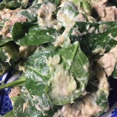 A picture of Keto Friendly Spinach Tuna Salad.
