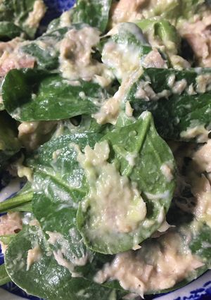 A picture of Keto Friendly Spinach Tuna Salad.