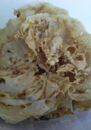 Foto resep Rempeyek renyah