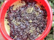 Gambar brownies matcha