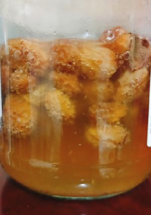 A picture of Raisin yeast starter and starter dough.